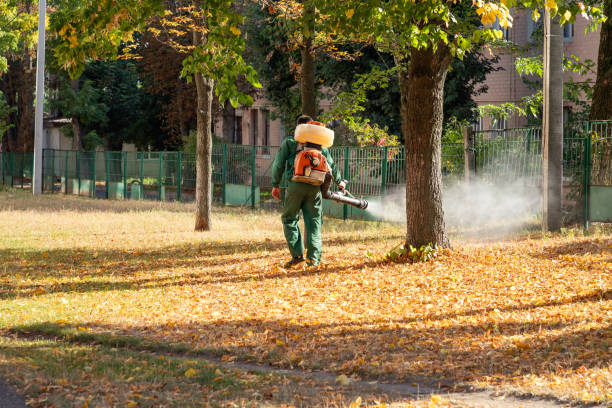 Best Best Pest Control Companies  in San Felipe, TX