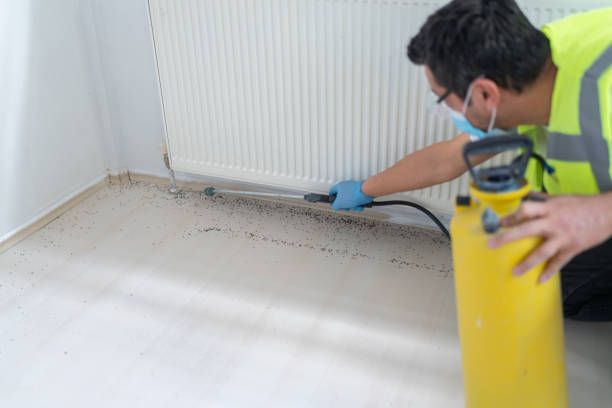 Best Best Pest Control Companies  in San Felipe, TX